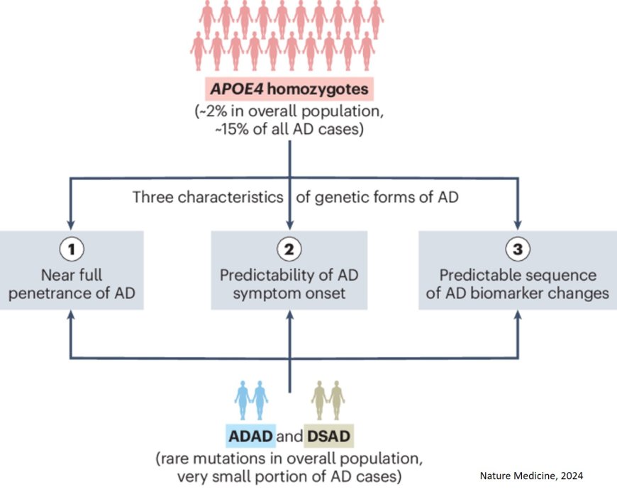 All individuals with two copies of the APOE4 gene develop signs of Alzheimer's