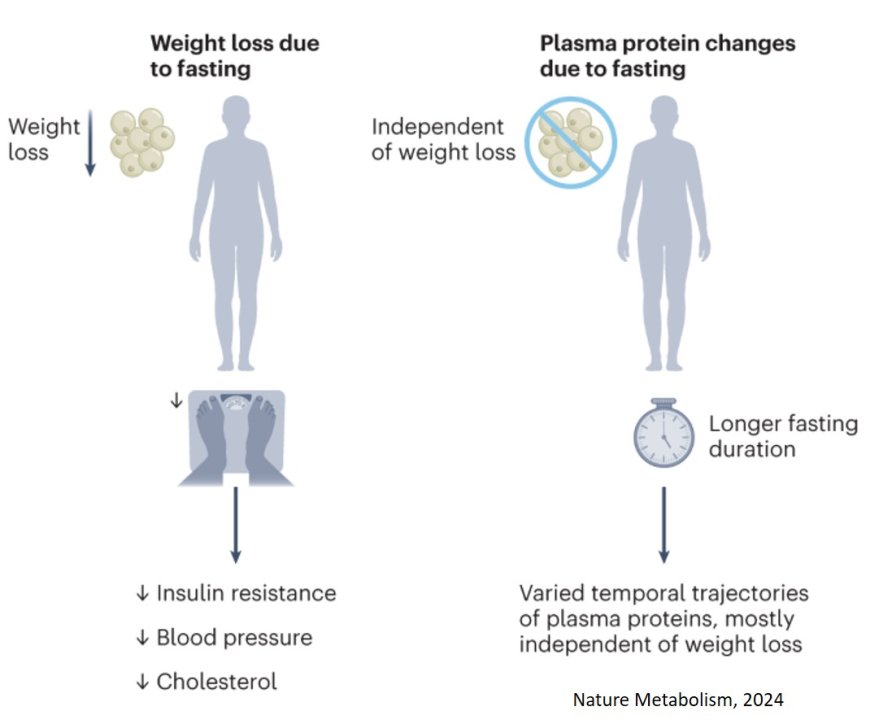 Multi-organ response to seven days without food