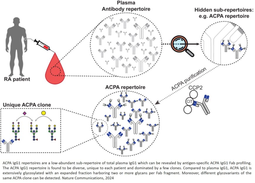 Autoantibody patterns in patients with rheumatoid arthritis