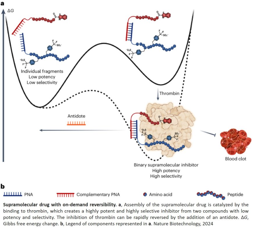 Supramolecular anticoagulants with on-demand reversibility