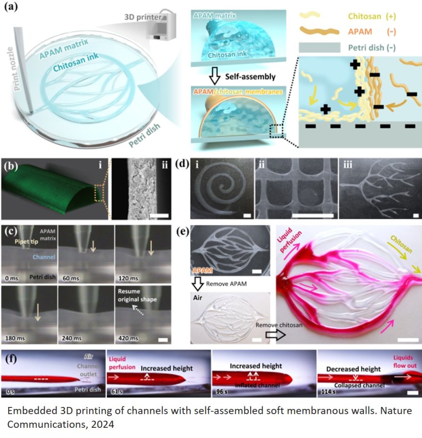 Microfluidic systems resembling blood vascular tissues