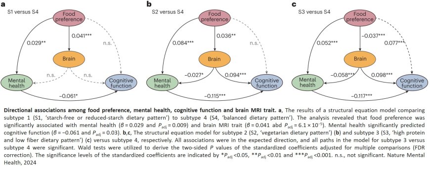 Link between dietary choices and brain health