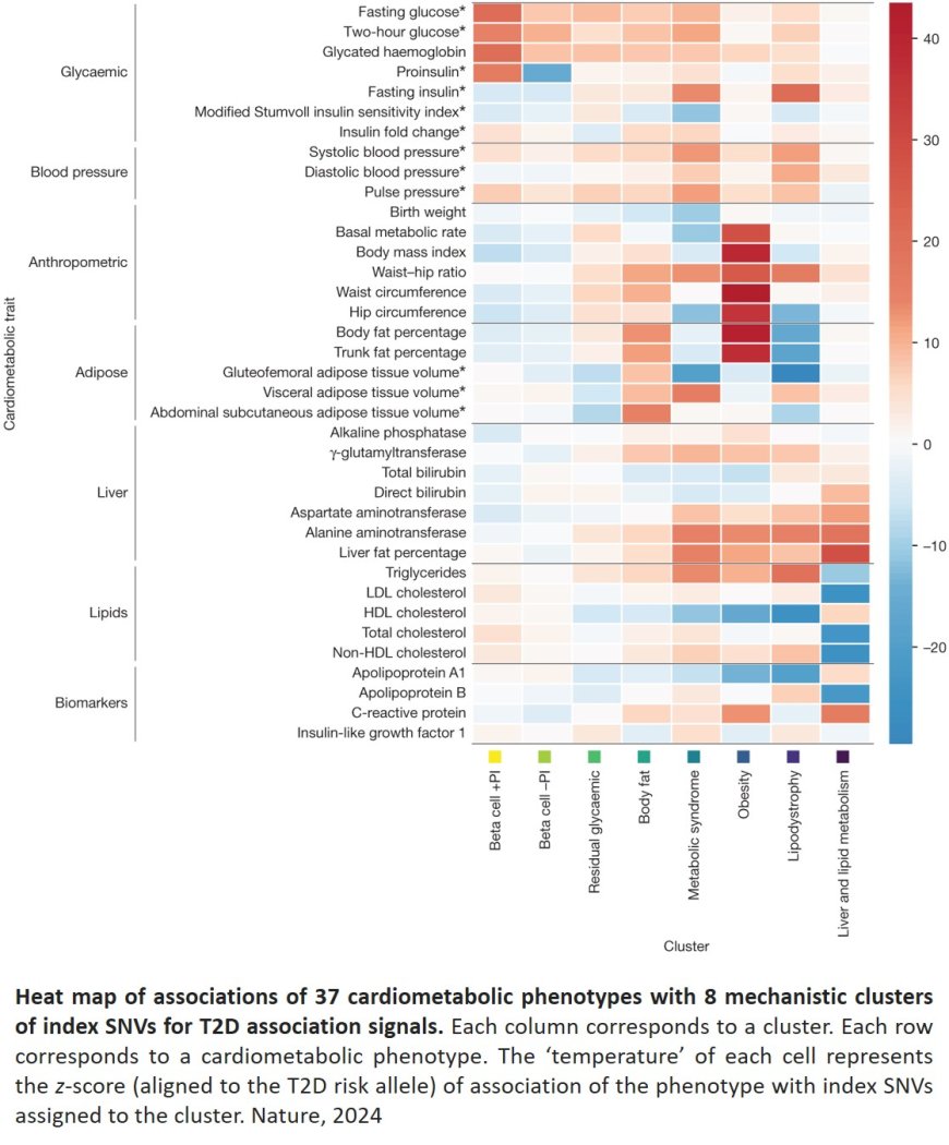 Genetic drivers of heterogeneity in type 2 diabetes pathophysiology