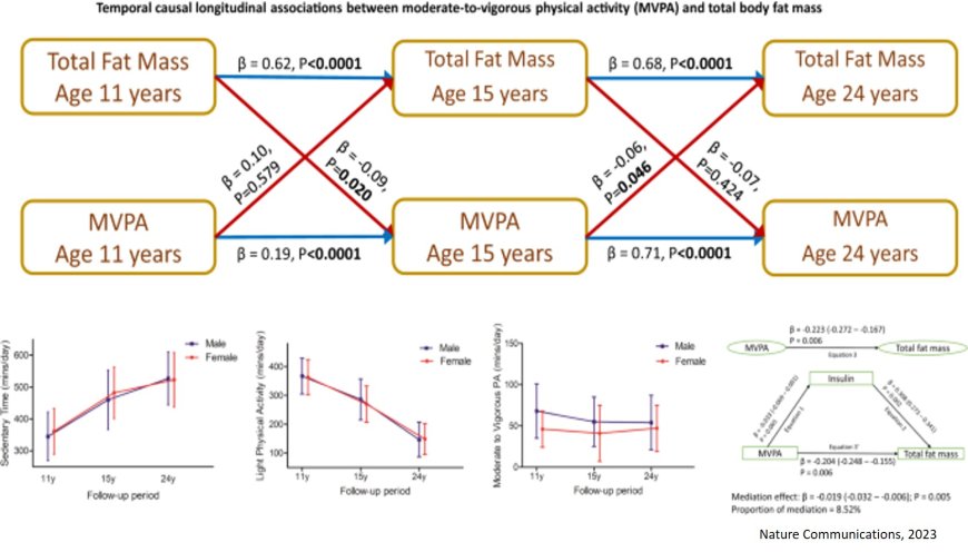 Light physical activity shows great promise in reversing childhood obesity caused by being sedentary