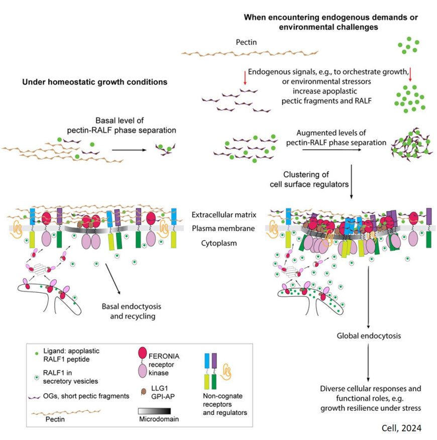 How plants respond to changing conditions