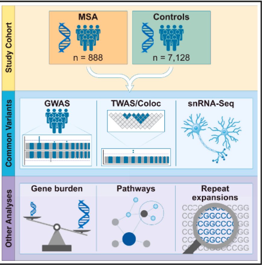 Genome sequence analyses identify novel risk loci for multiple system atrophy