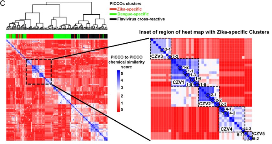 Identification and characterization of a nonbiological small-molecular mimic of a Zika virus conformational neutralizing epitope