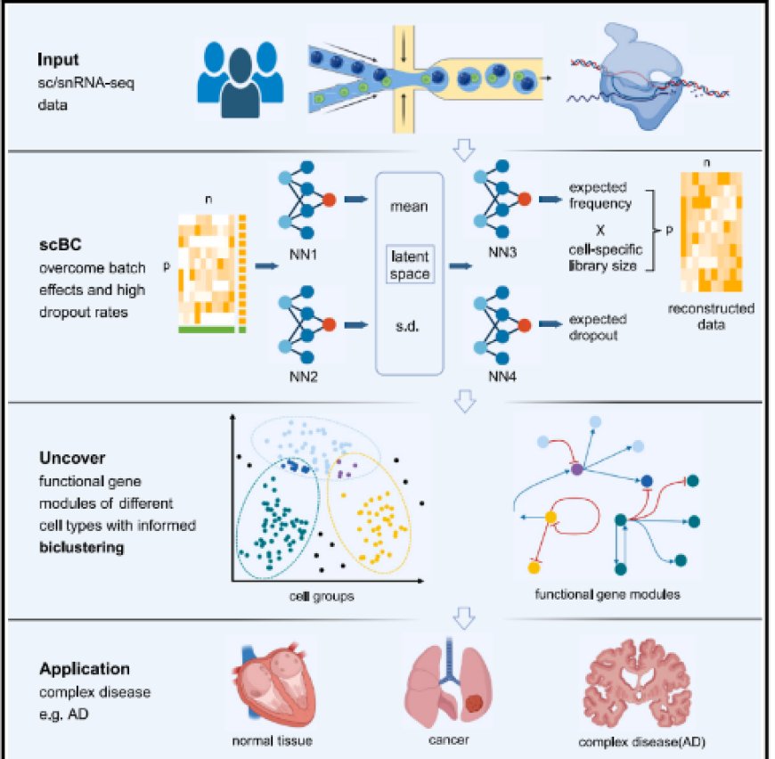 Single-cell biclustering for cell-specific transcriptomic perturbation detection in AD progression