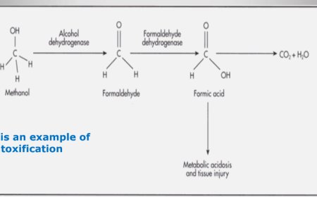METABOLISM OF XENOBIOTICS