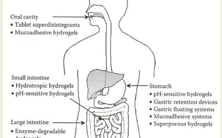 Hydrogels in Drug Delivery