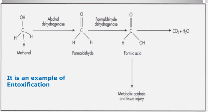 METABOLISM OF XENOBIOTICS