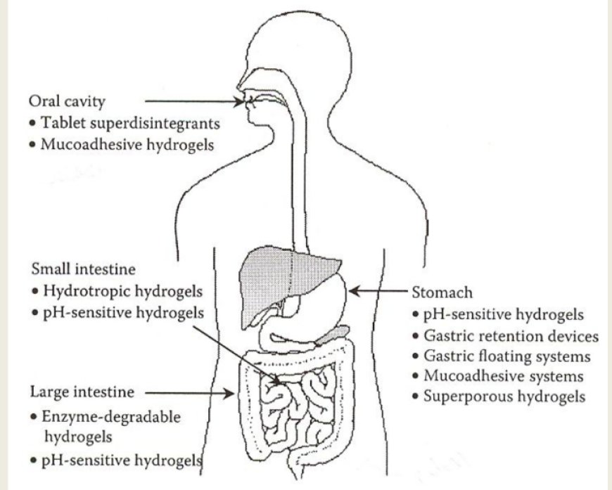 Hydrogels in Drug Delivery