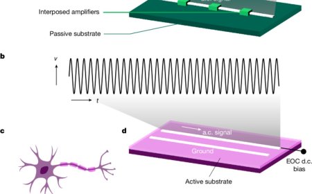 Axon-mimicking materials for signal transmission