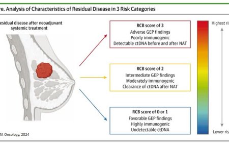 Residual Disease heterogeneity After Neoadjuvant Systemic Therapy in Breast Cancer