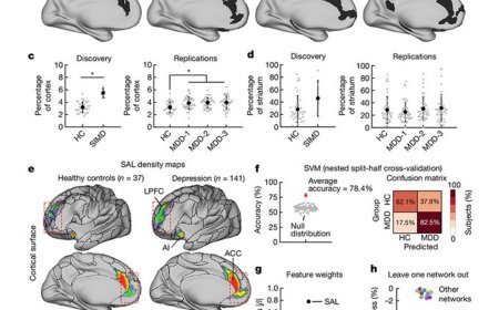 Frontostriatal salience network expansion in individuals in depression