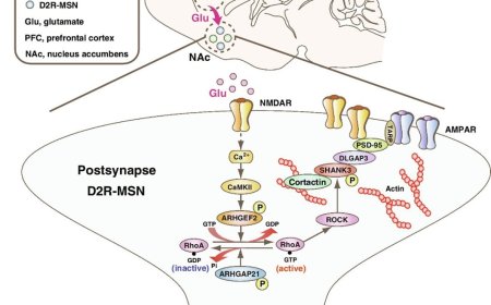 Chemical basis of aversive learning