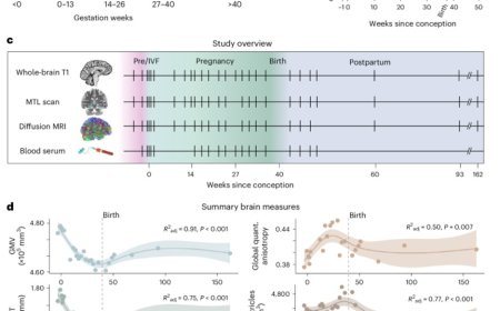 Changes in the brain throughout pregnancy