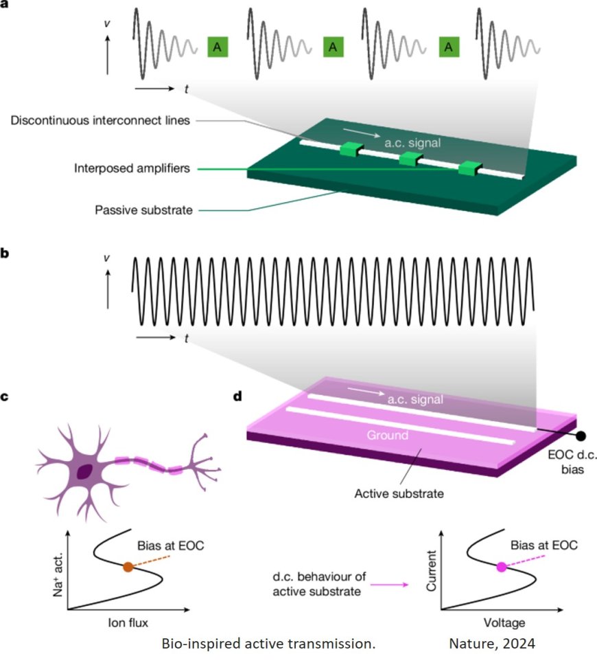 Axon-mimicking materials for signal transmission