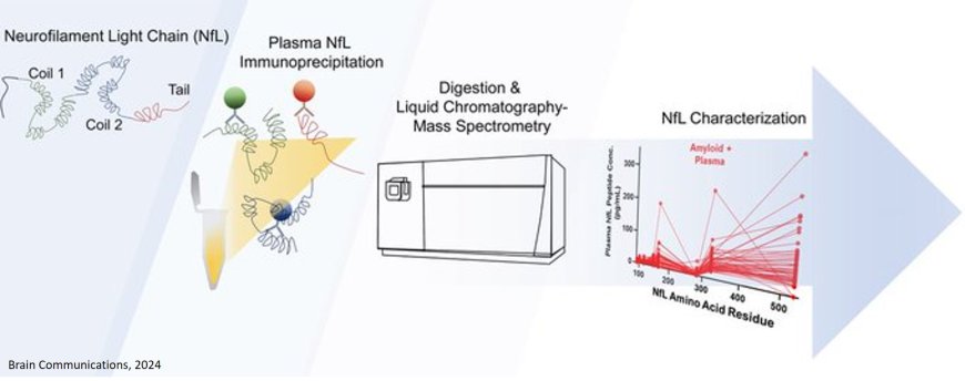 Plasma neurofilament light chain assay for preclinical and mild Alzheimer’s disease