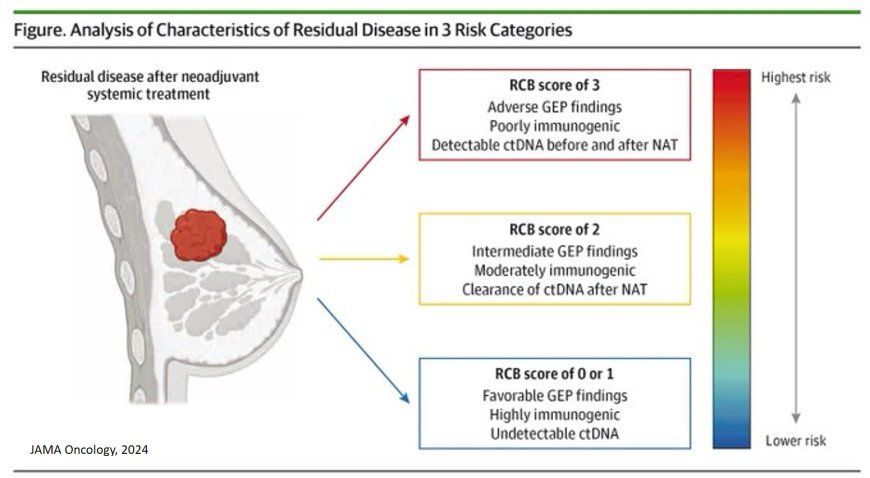 Residual Disease heterogeneity After Neoadjuvant Systemic Therapy in Breast Cancer