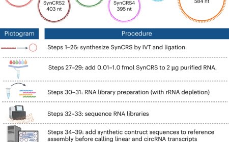 Normalizing  circular RNA sequencing data