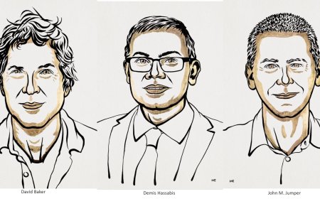 The Nobel Prize in Chemistry 2024