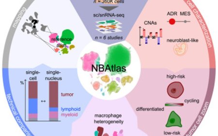Atlas of human neuroblastoma tumors