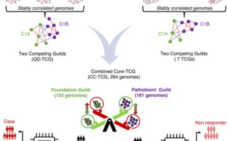 A core microbiome signature as an indicator of health