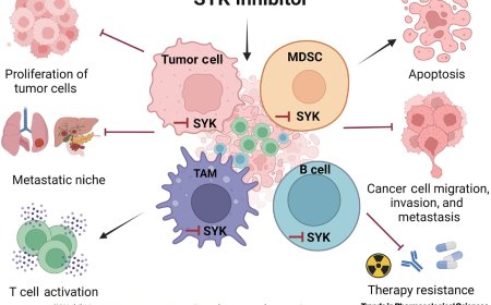 Targeting spleen tyrosine kinase (SYK) in solid tumors