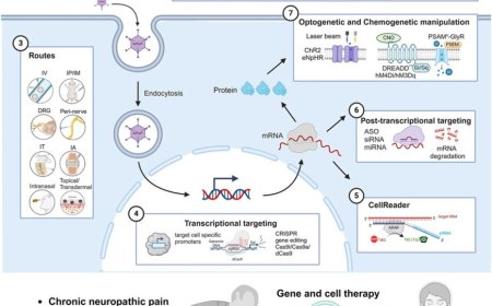 Gene therapy for chronic pain management