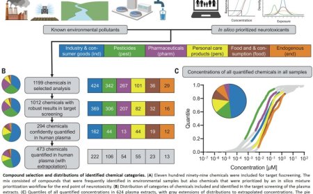 Blood chemicals from pregnant women with additive neurotoxic effects
