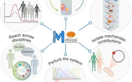 Mapping the mind–mitochondria connection