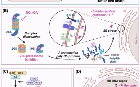 Nitro-fatty acids: promising agents for the development of new cancer therapeutics