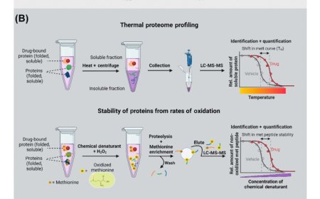 Phenotypic approaches for CNS drugs