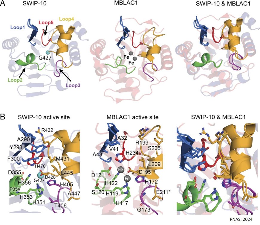 Master copper regulator in Alzheimer’s disease