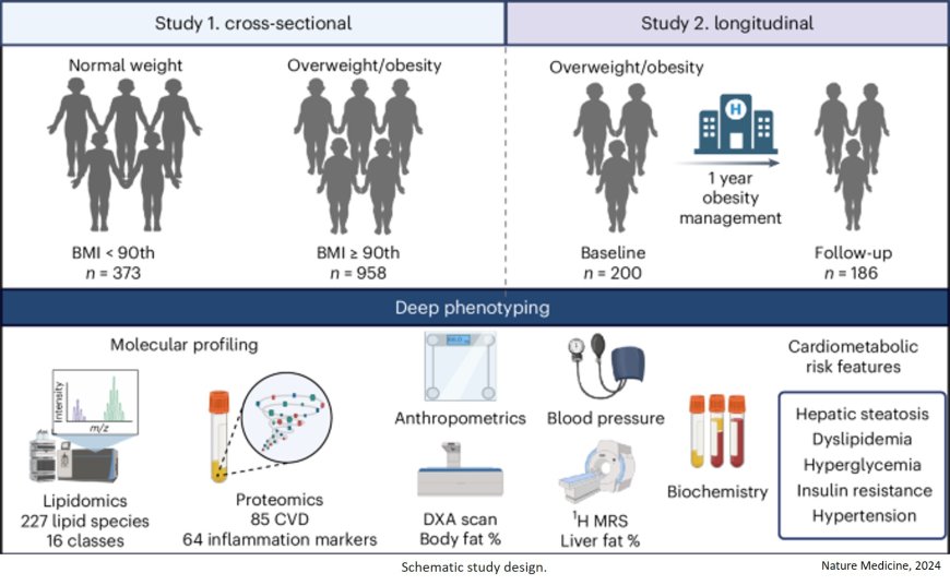 Lipid profiling identifies modifiable signatures of cardiometabolic risk in children and adolescents with obesity