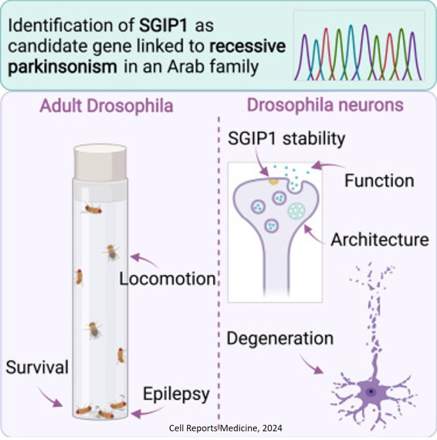 New mutation linked to early-onset Parkinsonism