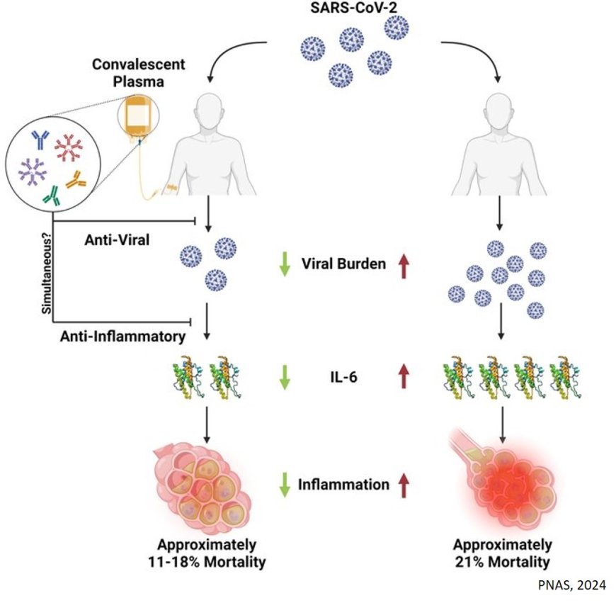 Use of COVID-19 convalescent plasma to treat patients