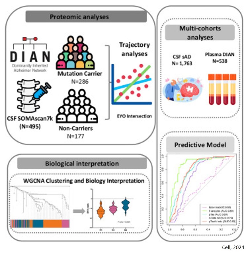 CSF proteomics identifies early changes in autosomal dominant Alzheimer’s disease