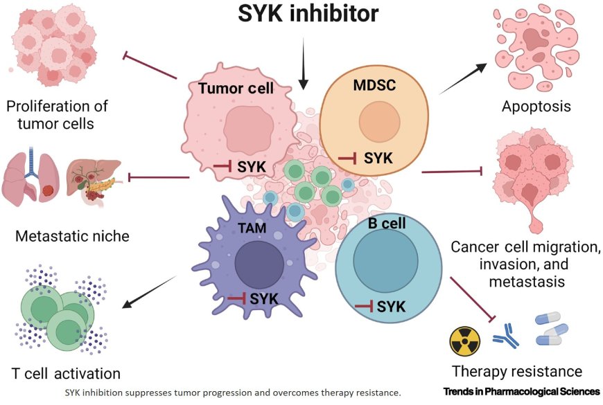 New insights into SYK targeting in solid tumors