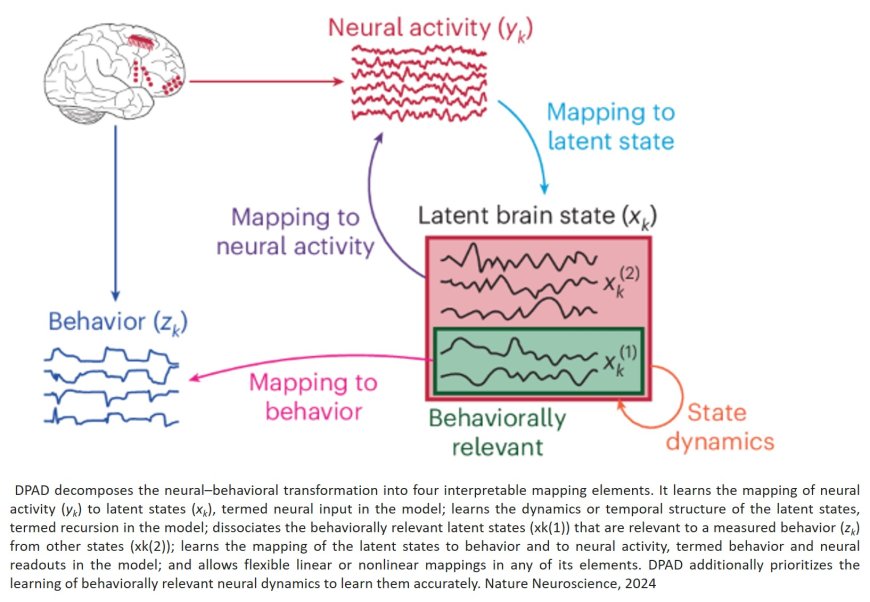 Dissociative and prioritized modeling of behaviorally relevant neural dynamics using recurrent neural networks