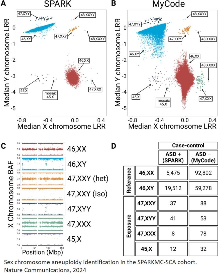 Increased autism risk linked to Y chromosome