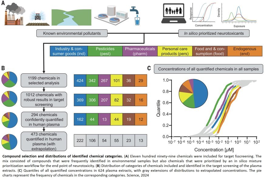 Blood chemicals from pregnant women with additive neurotoxic effects