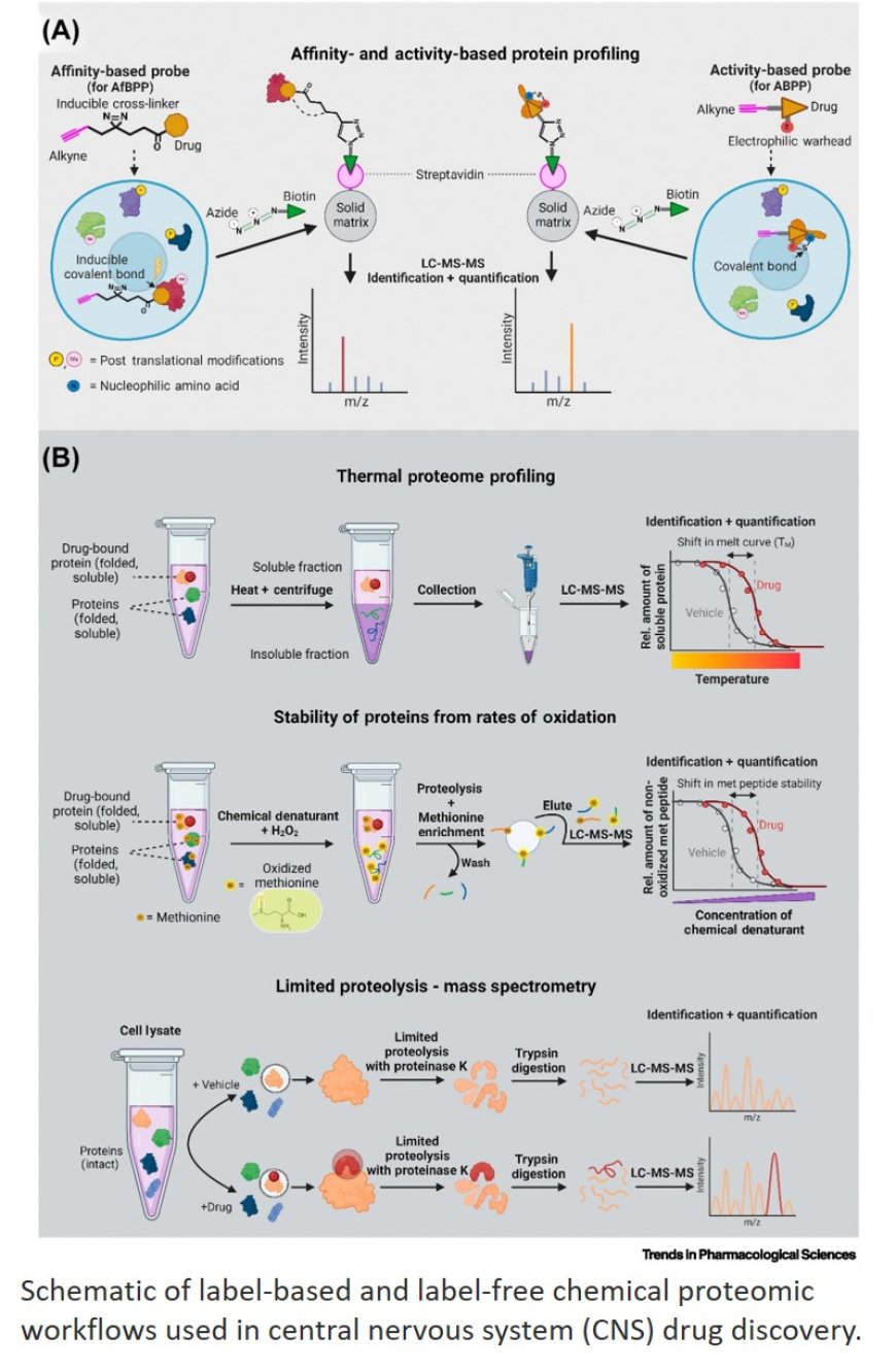 Phenotypic approaches for CNS drugs