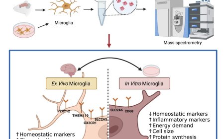 Deep proteomic analysis of microglia reveals fundamental biological differences between model systems