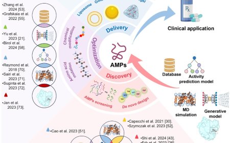 Antimicrobial peptide development!