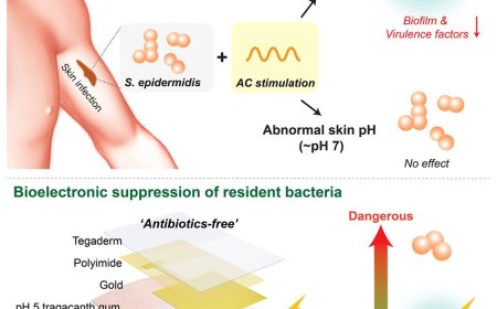 A skin patch using imperceptible electric currents can stop bacterial infections without drugs.