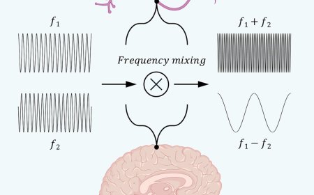The neuron mixer and its impact on human brain dynamics