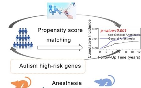 Childhood anaesthesia and autism risk