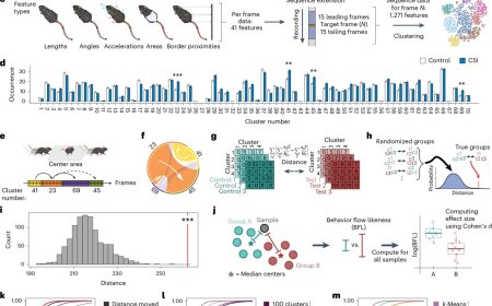 Despite fewer animals, precise results in behavioral analysis